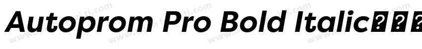 Autoprom Pro Bold Italic字体转换